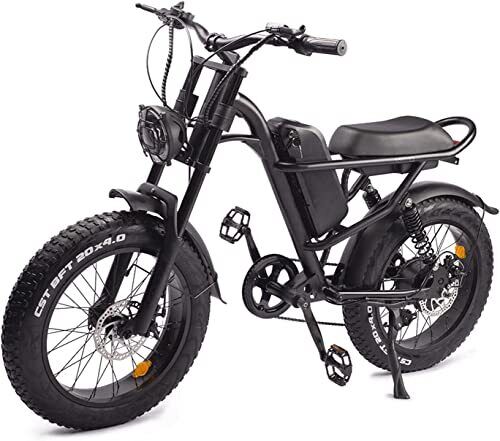 Powerful 1000W Electric Mountain Bike 20 Fat Tire Ebike