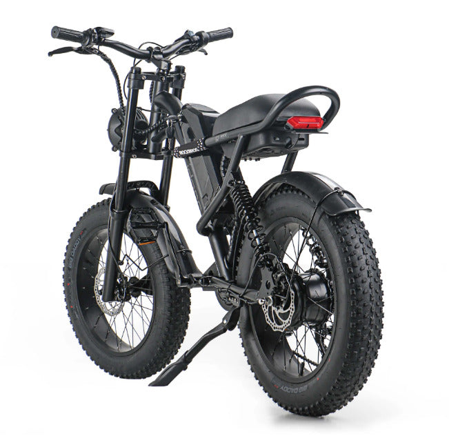 Powerful 1000W Electric Mountain Bike 20 Fat Tire Ebike