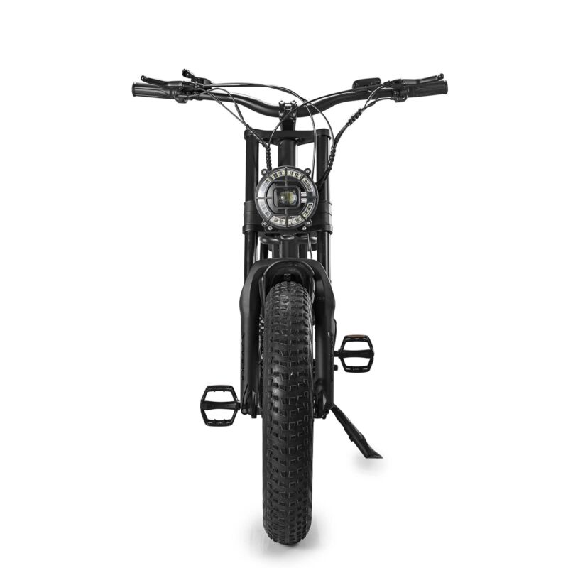 Powerful 1000W Electric Mountain Bike 20 Fat Tire Ebike