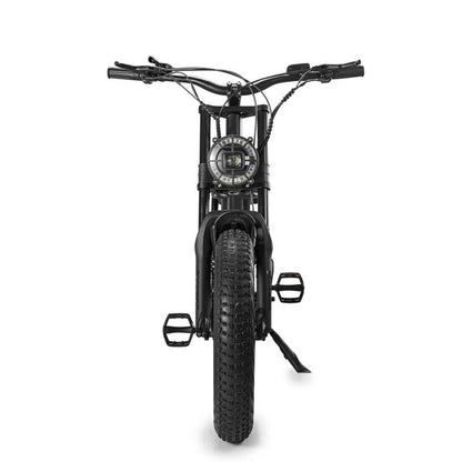 Powerful 1000W Electric Mountain Bike 20 Fat Tire Ebike