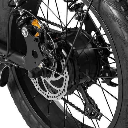 Powerful 1000W Electric Mountain Bike 20 Fat Tire Ebike