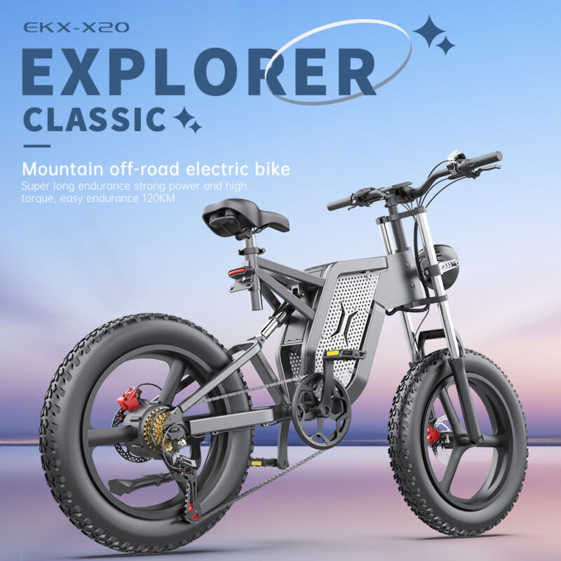 Powerful 20 2000w Electric Mountain Bike - Halri