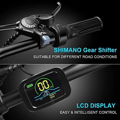 Powerful 1000W Electric Mountain Bike 20 Fat Tire Ebike