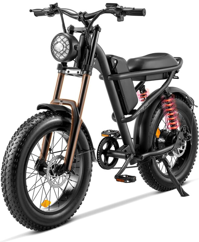 Powerful 1000W Electric Mountain Bike 20 Fat Tire Ebike - Halri