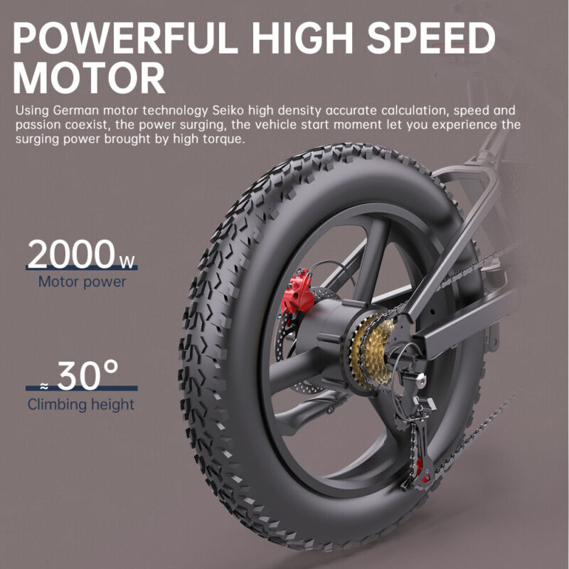 Powerful 20 2000w Electric Mountain Bike