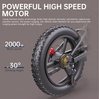 Powerful 20 2000w Electric Mountain Bike