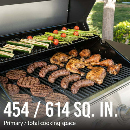 Portable Outdoor Propane BBQ Grill