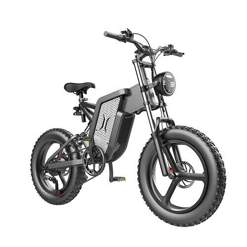 Powerful 20 2000w Electric Mountain Bike
