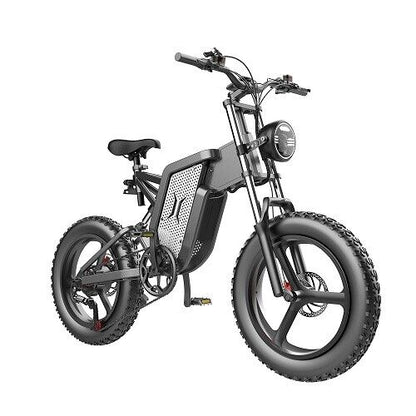 Powerful 20 2000w Electric Mountain Bike