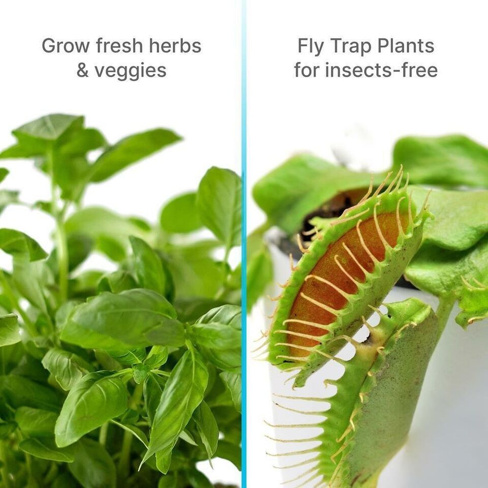 Easy Home Herb Growing System
