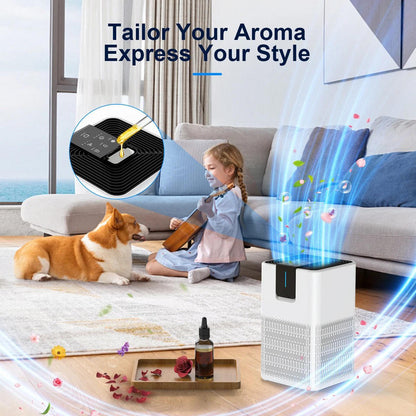 Powerful Whole House Air Cleaner
