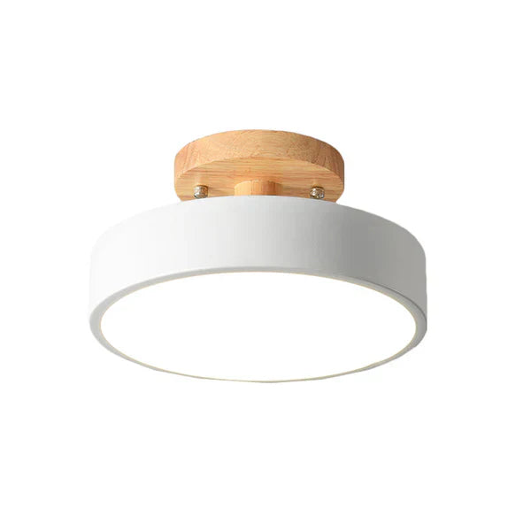 Modern Nordic LED Light Fixture