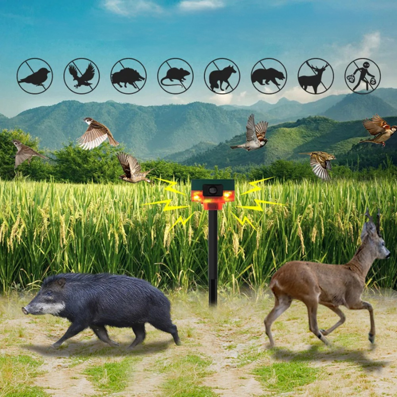 Outdoor Motion Activated Bird Deterrent Light - Halri