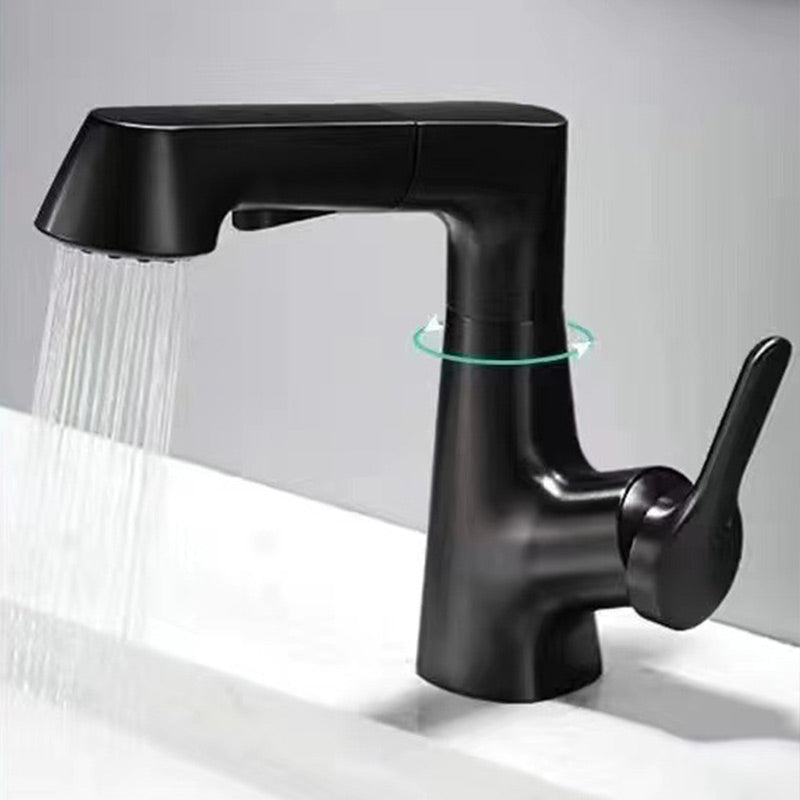 Single Handle Kitchen Faucet with Pull Out Sprayer