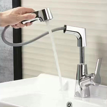 Single Handle Kitchen Faucet with Pull Out Sprayer