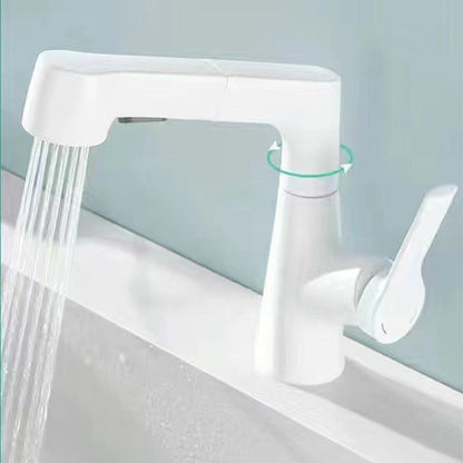 Single Handle Kitchen Faucet with Pull Out Sprayer