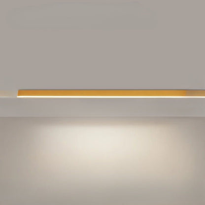 Simple Modern LED Ceiling Light