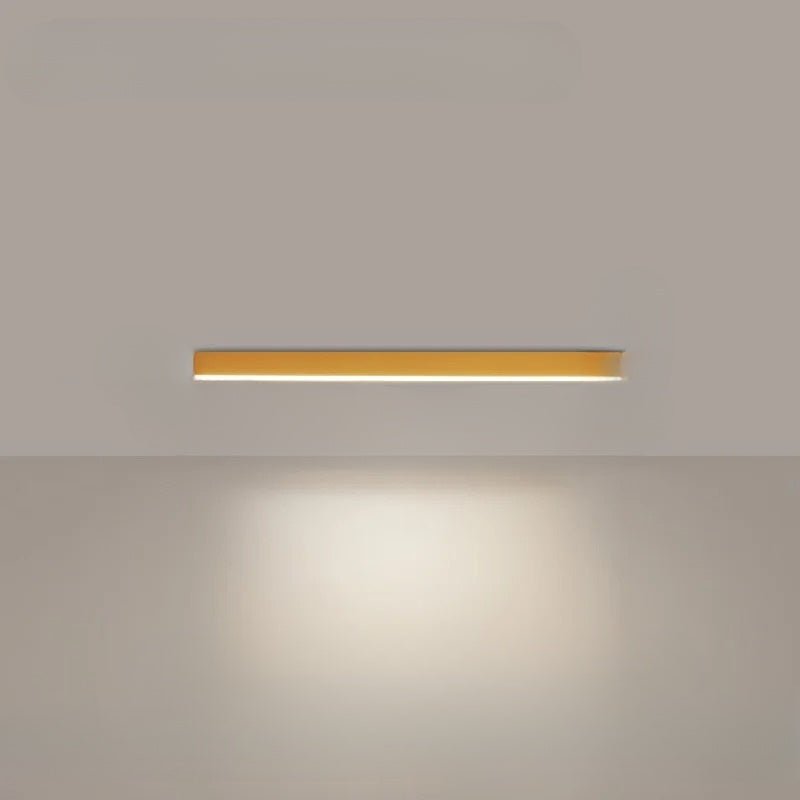 Simple Modern LED Ceiling Light