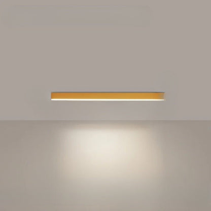 Simple Modern LED Ceiling Light