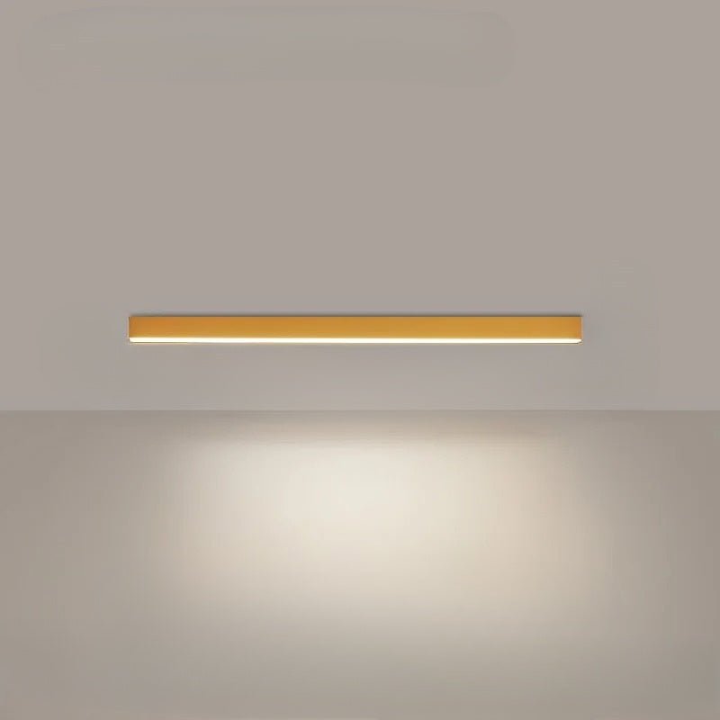 Simple Modern LED Ceiling Light