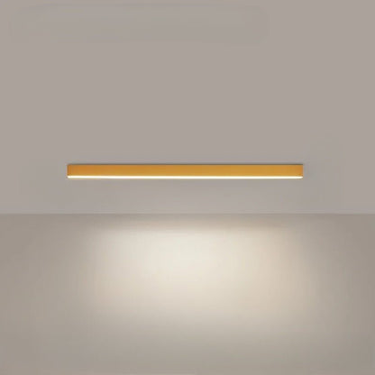 Simple Modern LED Ceiling Light