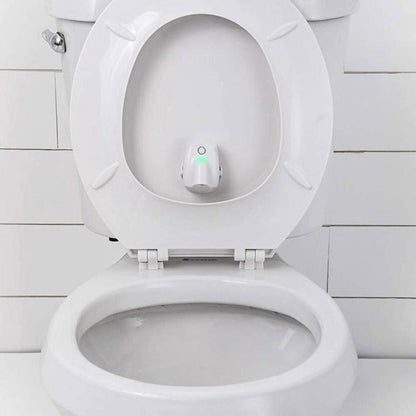 Colorful Automatic Potty Night Light for Kids
