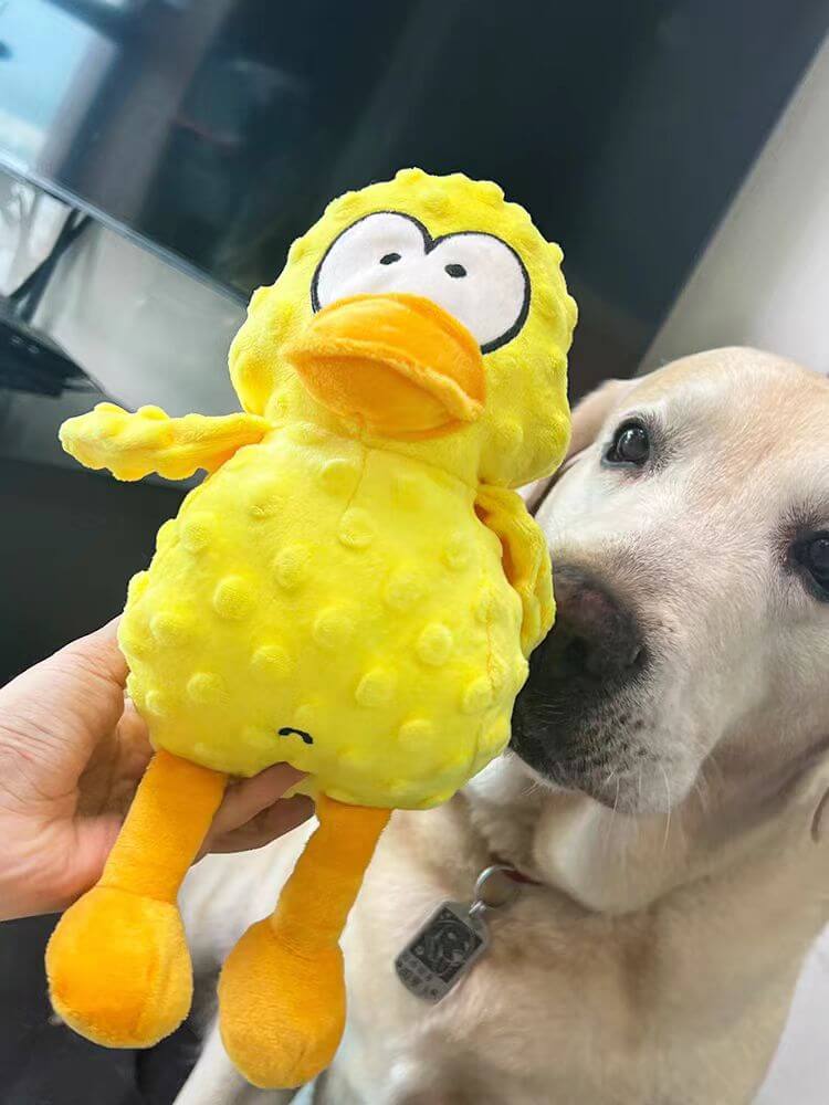 Fun Plush Dog Toy