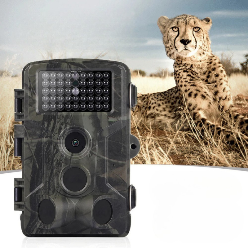 High Definition Motion Sensor Camera - Halri