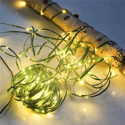 Colorful Outdoor Christmas LED String Lights