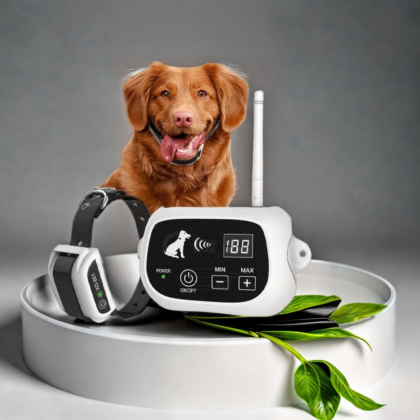 Pet Fence Collar System Easy Safe Adjustable Training