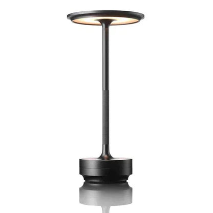 Portable LED Desk Lamp with USB Charging