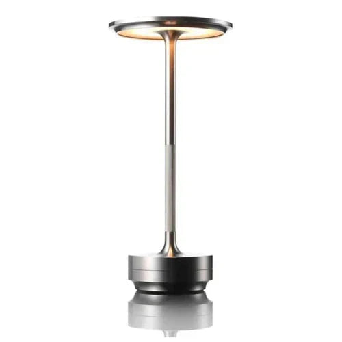 Portable LED Desk Lamp with USB Charging